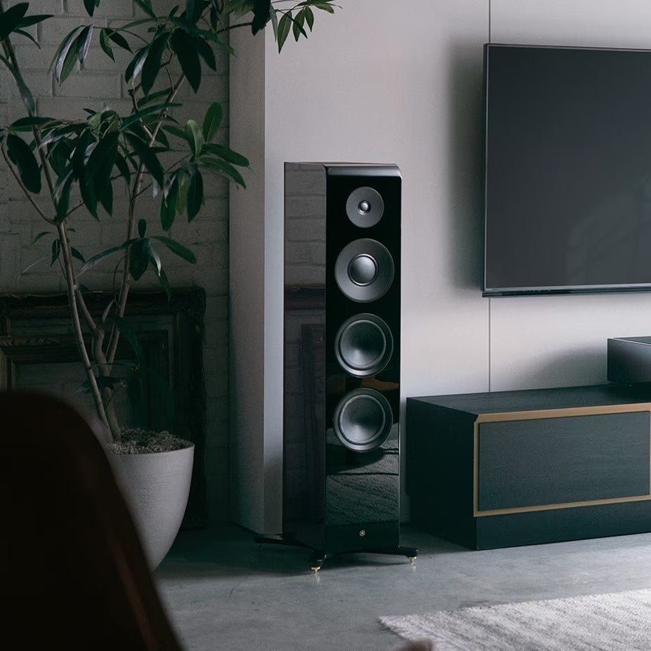 Home Audio Speakers