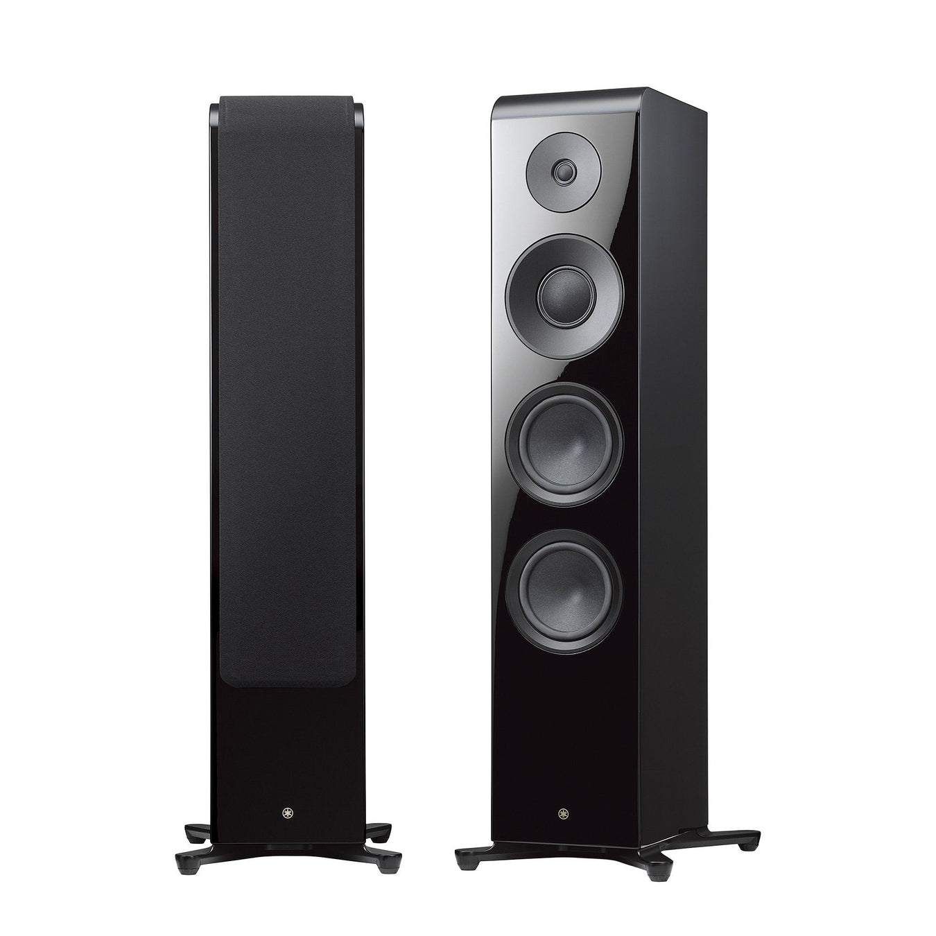 Floor Standing Speakers