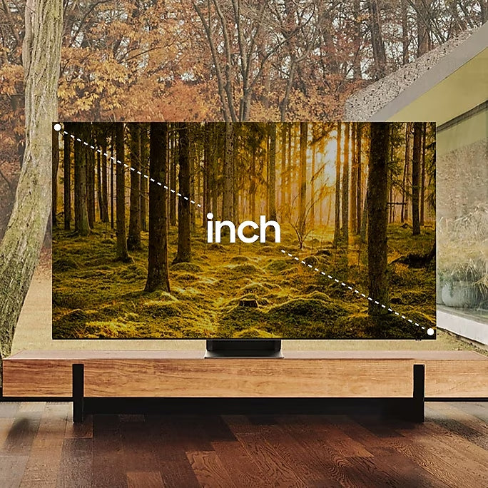 TV size