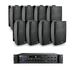 NEXT Audiogroup 8W6.MX350