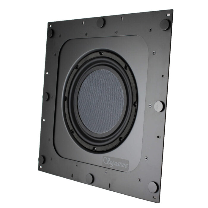 IWS-10