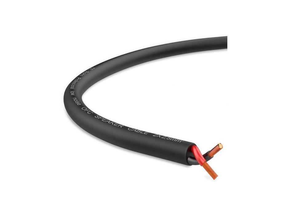 Audibax Silver Coil BSA100 25 Speaker 100m Black 10116248 product image