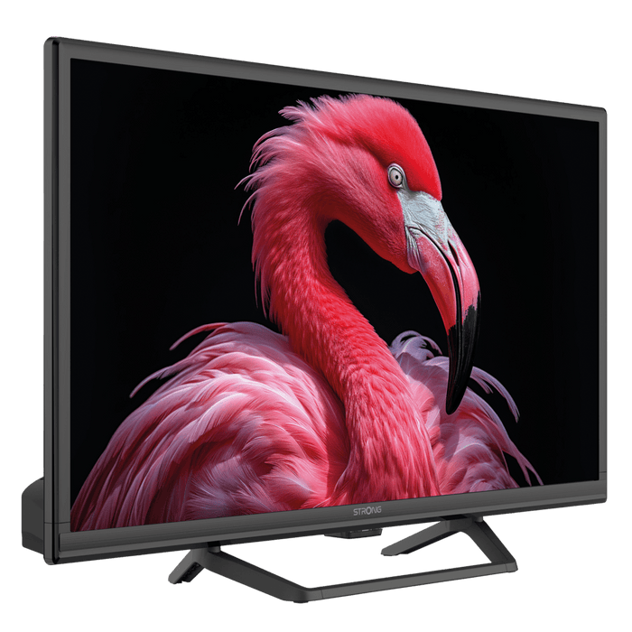 STRONG SRT24HG4723C 24-inch HD 12V Google TV