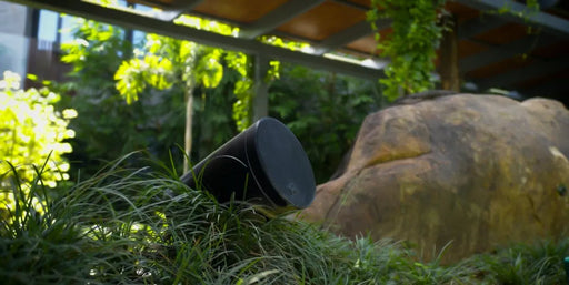 XSCACE Spirea Outdoor Landscape Speaker product image