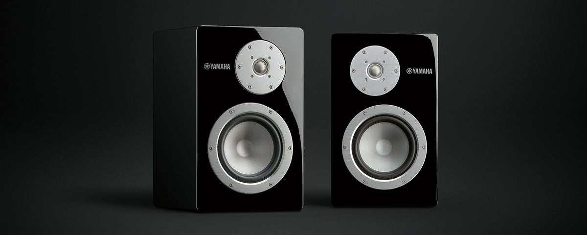 NS-3000 LEFT